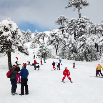 Chile - Centro de Ski Araucarias_tn
