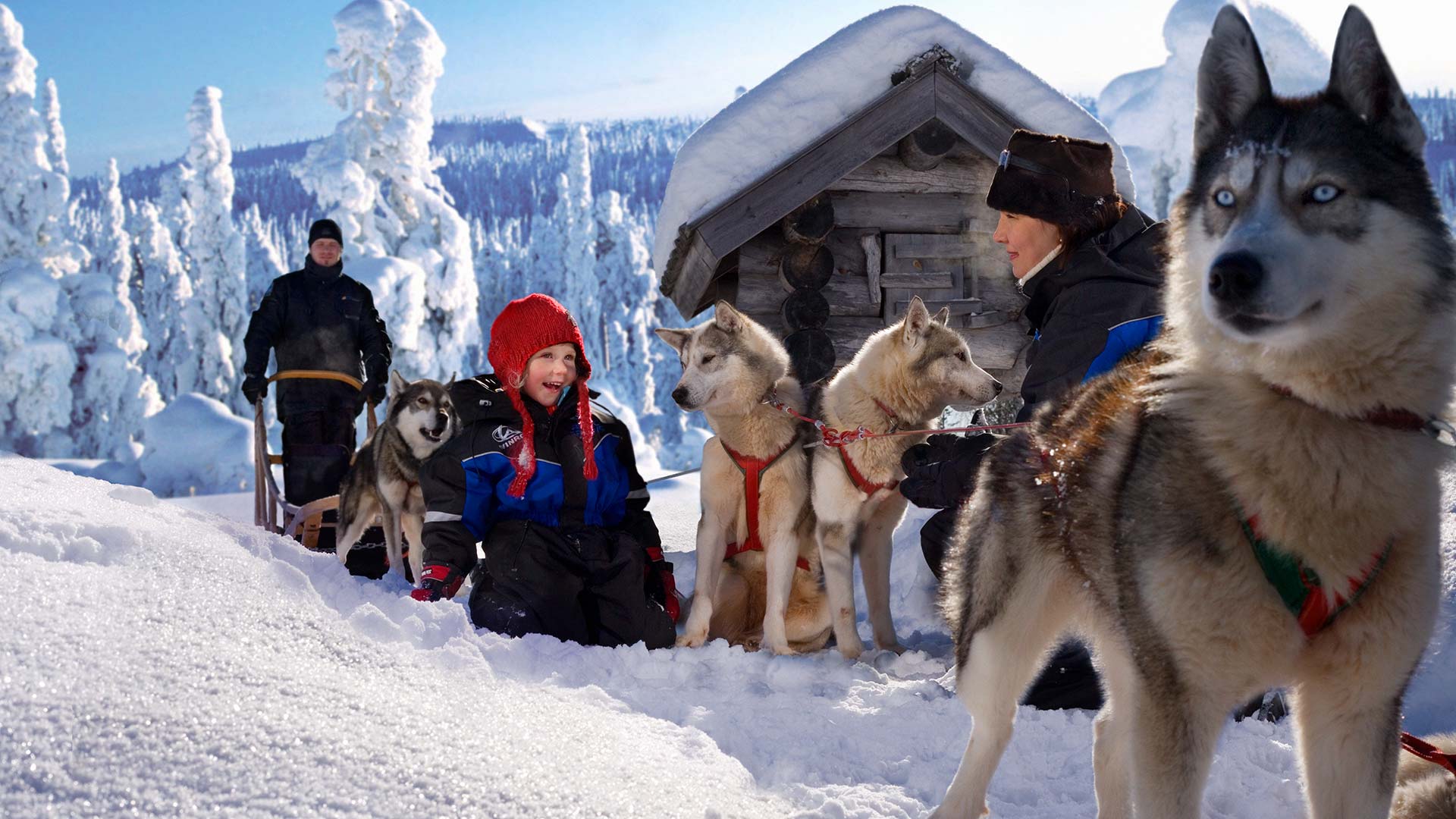 dogsled (6)